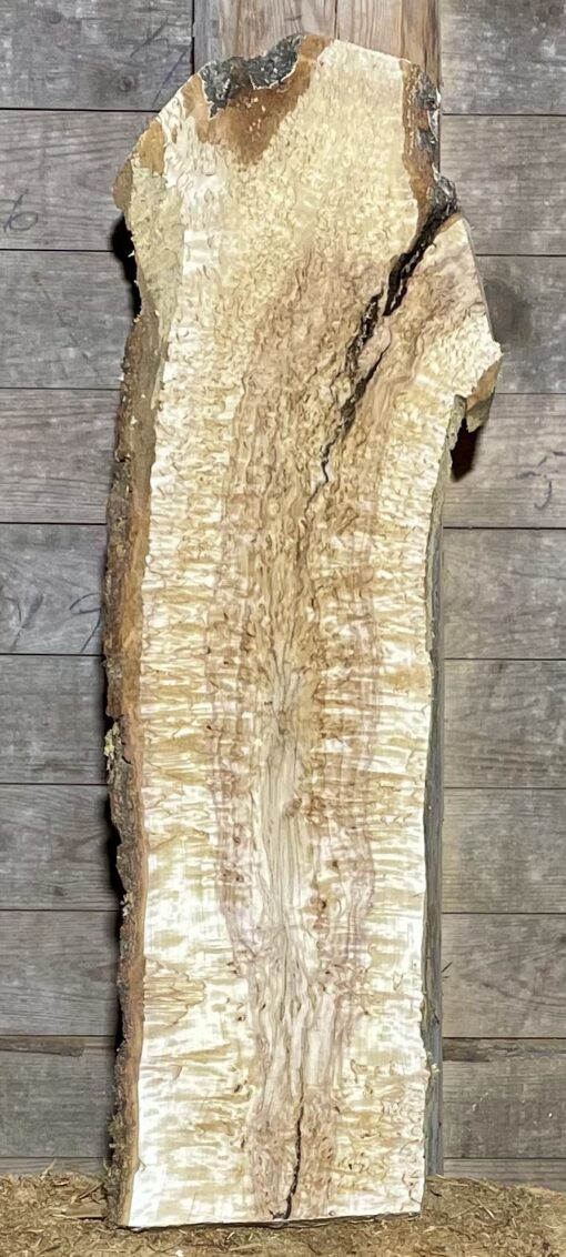 Bräda i masurbjörk, okantad, hyvlad, 820x180x37 - Bild 2