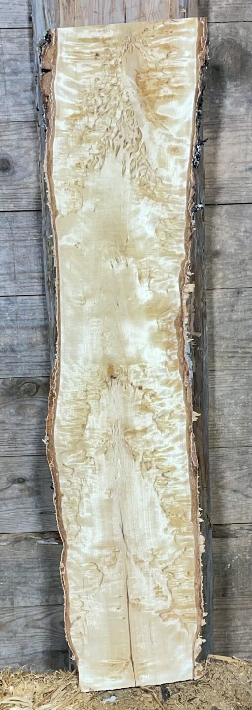 Bräda masurbjörk, okantad, hyvlad, 630x120x38 mm